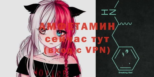 крисы Надым