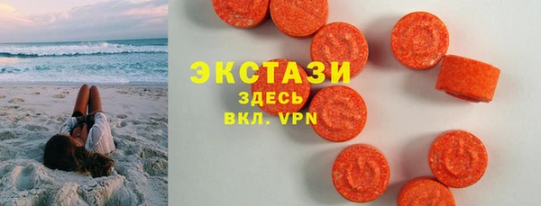 крисы Надым