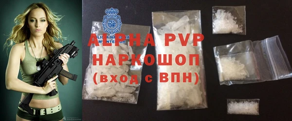 крисы Надым