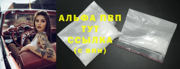 крисы Надым