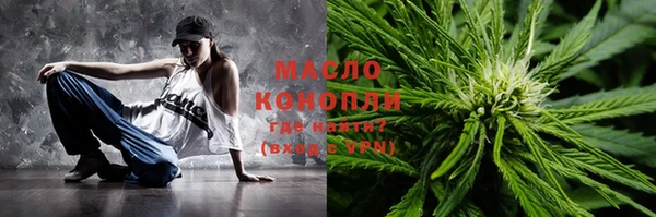 крисы Надым