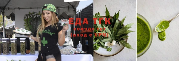 крисы Надым