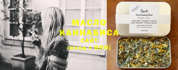 крисы Надым